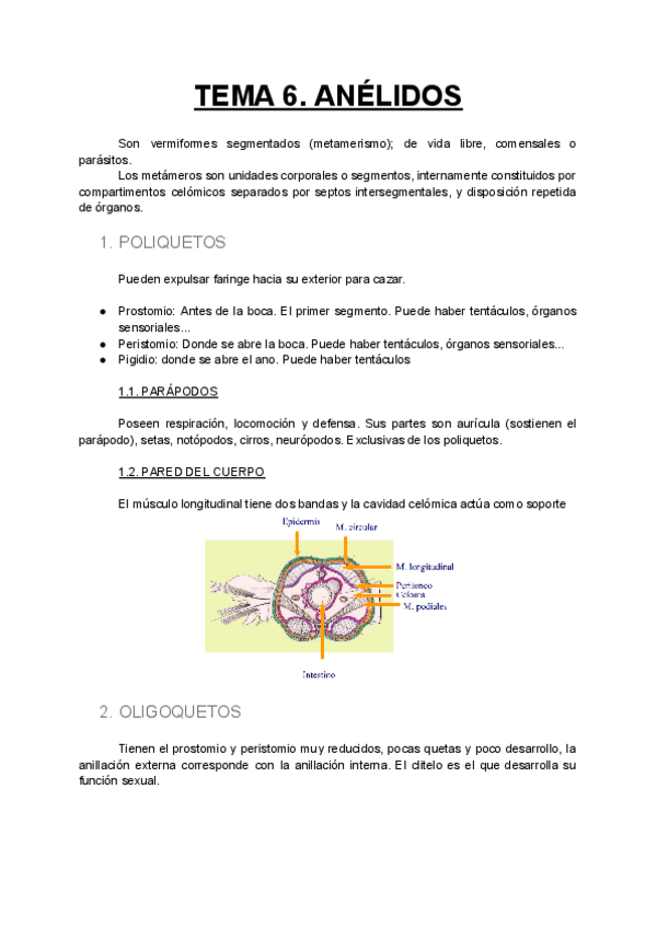 Miniatura del documento TEMA-6-FAUNA.pdf