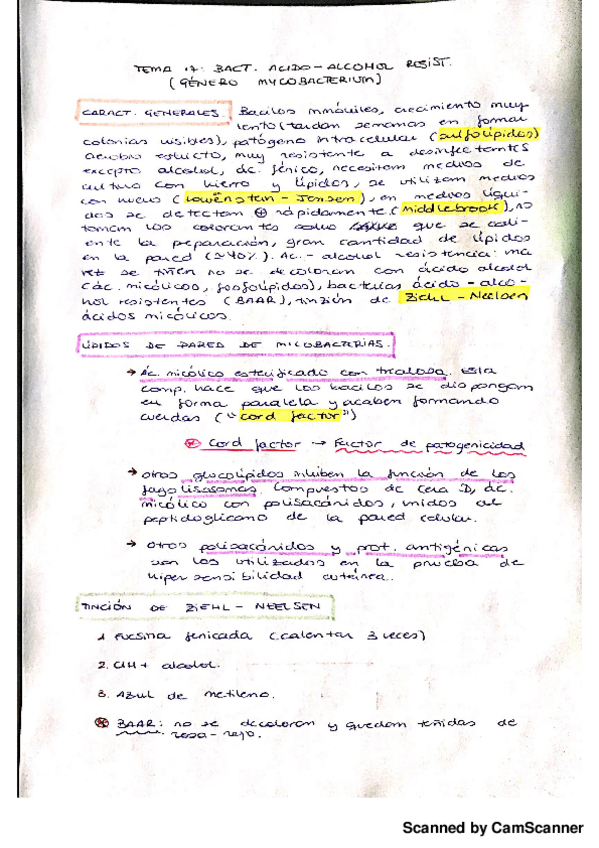 Miniatura del documento Bacterias ácido-alcohol resistentes.pdf