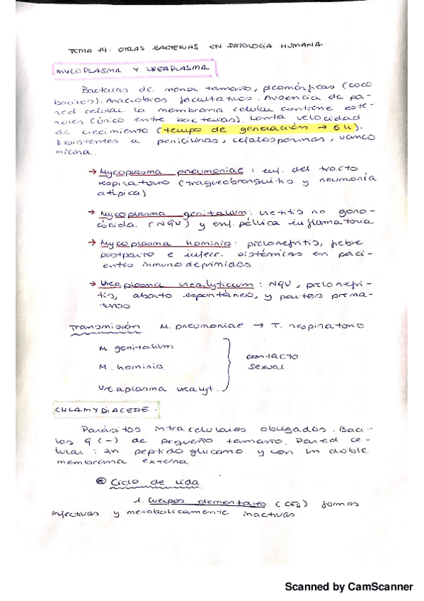 Miniatura del documento Otras bacterias.pdf