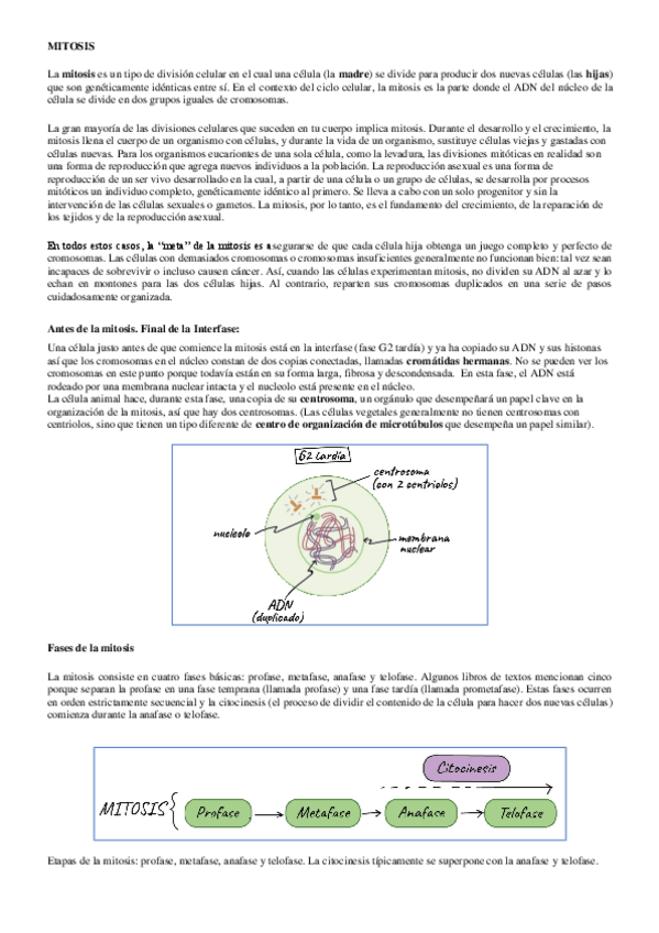 Miniatura del documento 7-MITOSIS.pdf