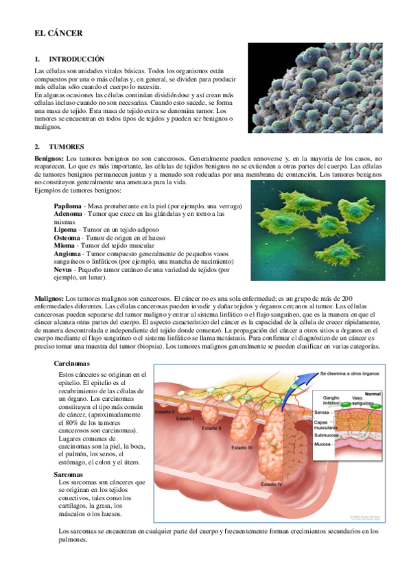 Miniatura del documento 10-El-Cancer.pdf