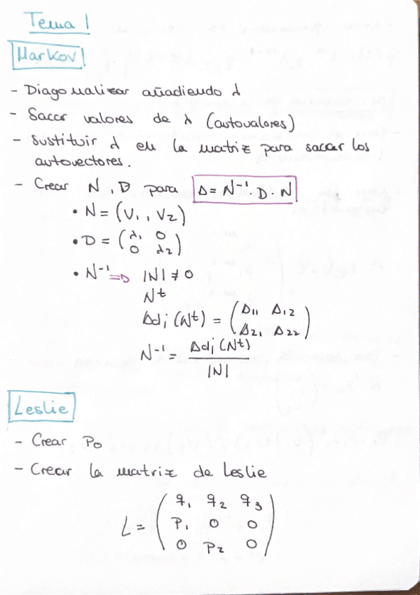 Miniatura del documento Procedimientos-problemas.pdf