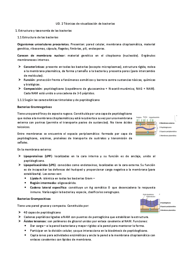 Miniatura del documento UD.-2-Tecnicas-de-visualizacion-de-bacterias.pdf
