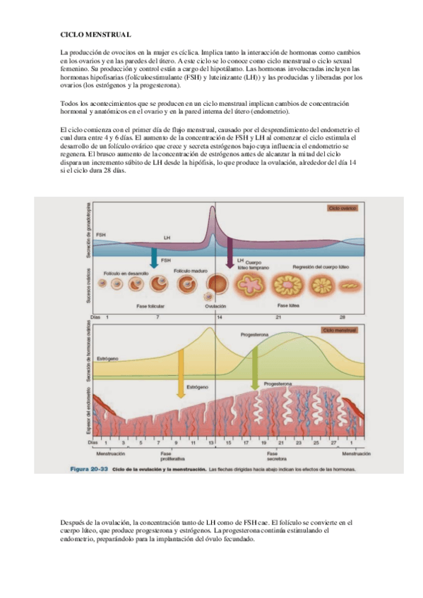 Miniatura del documento 12-Ciclo-Menstrual.pdf