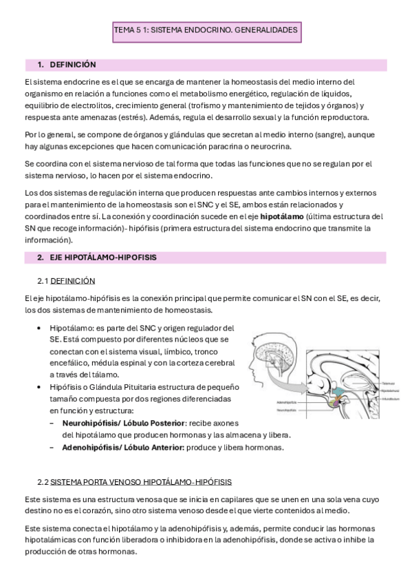 Miniatura del documento TEMA-5-1-SISTEMA-ENDOCRINO.-GENERALIDADES.pdf
