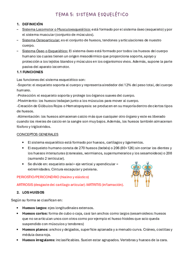 Miniatura del documento TEMA-5-S-ESQUELETICO.pdf