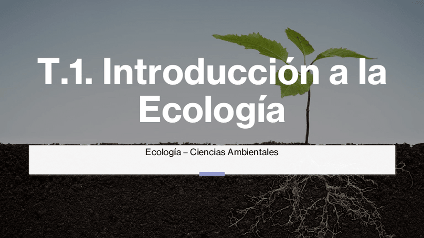 Miniatura del documento PRESENTACION-1.pdf