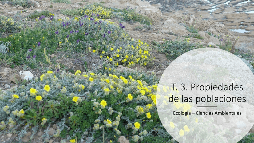 Miniatura del documento PRESENTACION-TEMA3.pdf