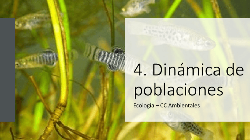 Miniatura del documento PRESENTACION-TEMA-4.pdf