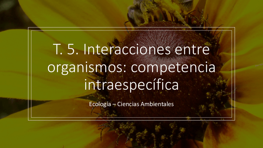 Miniatura del documento PRESENTACION-5.pdf