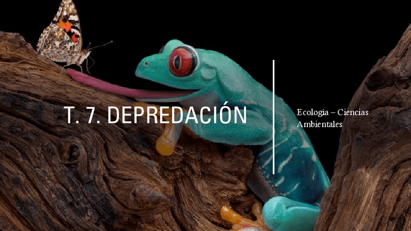 Miniatura del documento PRESENTACION-TEMA-7.pdf