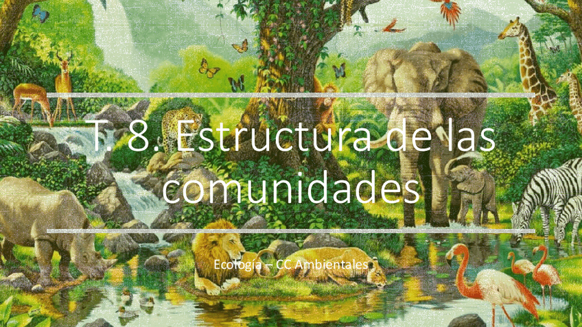 Miniatura del documento PRESENTACION-TEMA-8.pdf