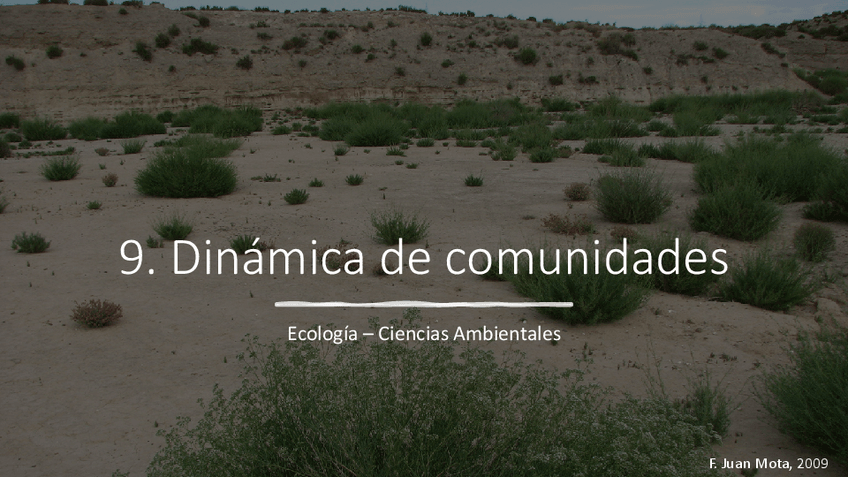 Miniatura del documento PRESENTACION-TEMA-9.pdf