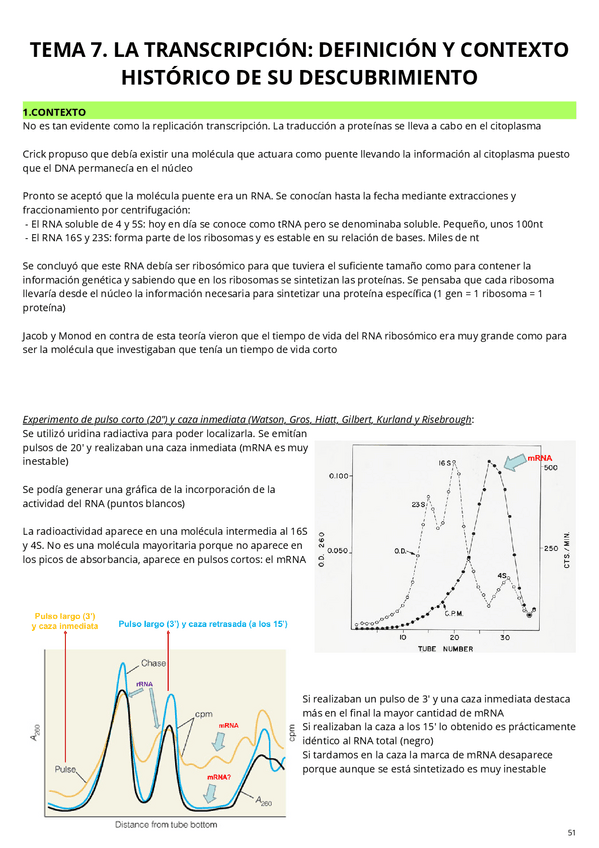Miniatura del documento T7.-La-transcripcion.pdf