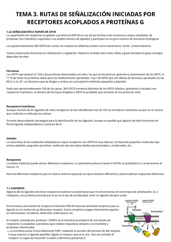 Miniatura del documento T3.-Rutas-de-receptores-acoplados-a-proteinas-G.pdf