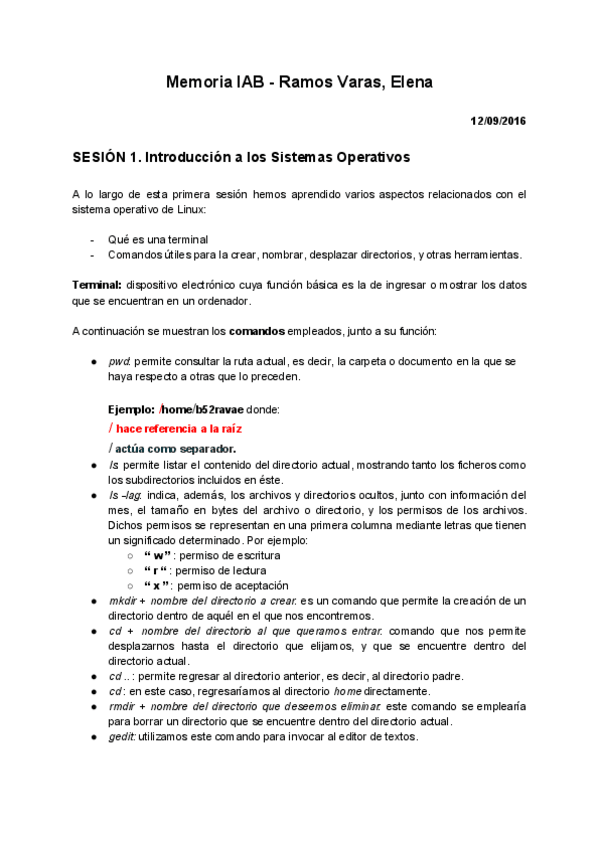 Miniatura del documento Memoria IAB - Ramos Varas- Elena.pdf