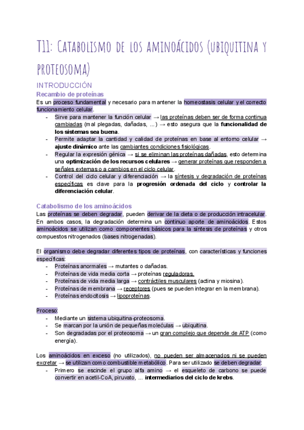 Miniatura del documento T11-Catabolismo-de-los-aminoacidos.pdf