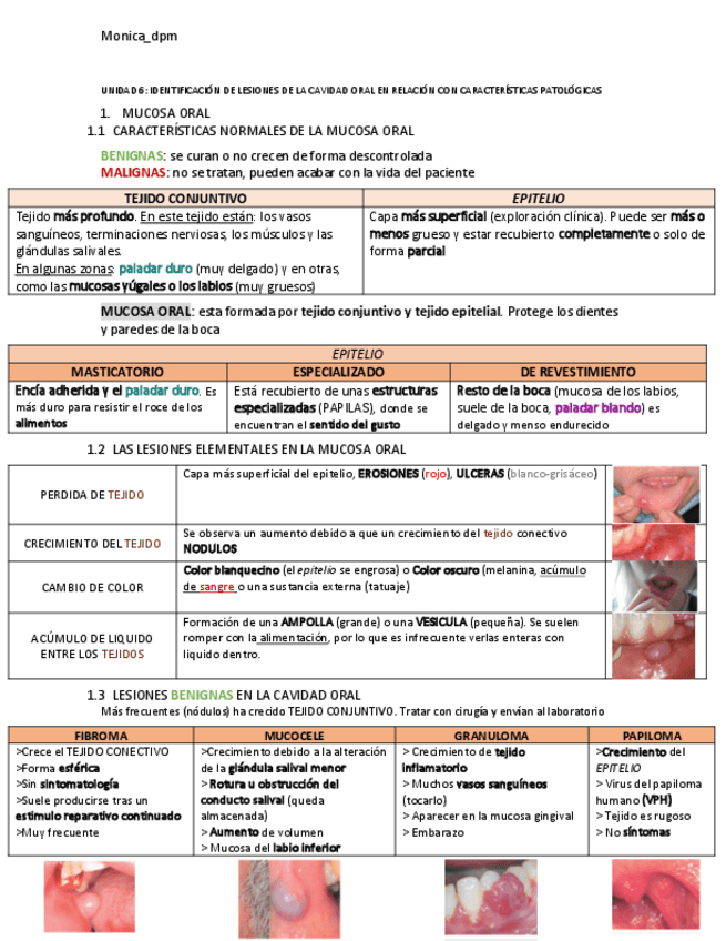 Miniatura del documento UNIDAD-6-ESCO.pdf