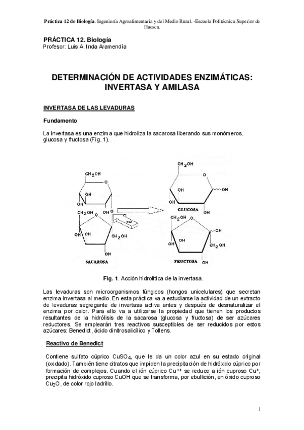 Miniatura del documento P11ActividadesenzimaticasP.pdf