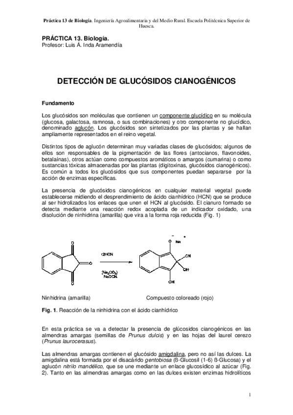 Miniatura del documento P12ActividadesenzimaticasP.pdf