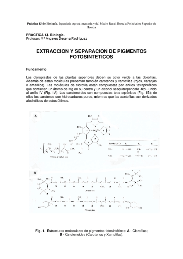 Miniatura del documento P13PigmentosfotosinteticosP.pdf