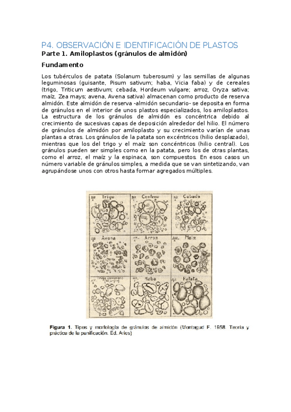 Miniatura del documento practicasbio.docx