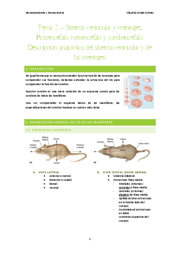 Miniatura del documento Tema-2-Neuro-NOTA-85.pdf