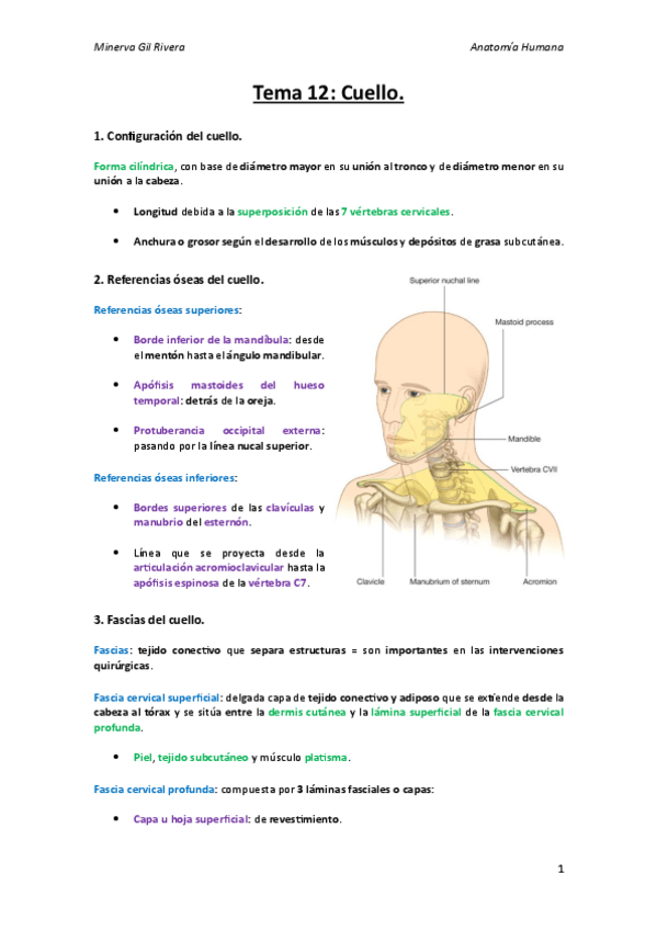 Miniatura del documento Tema-12.pdf