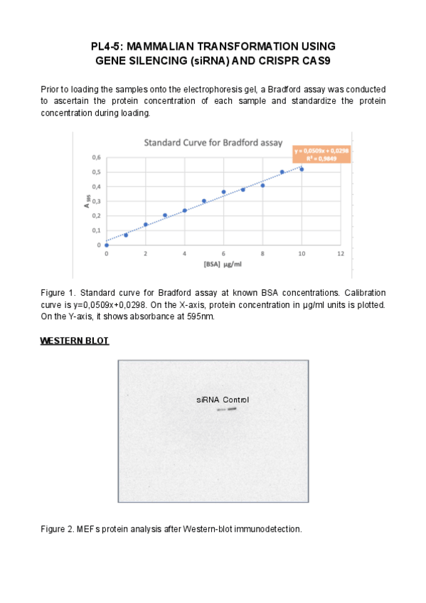 Miniatura del documento pl4-y-5-experimental-II.pdf