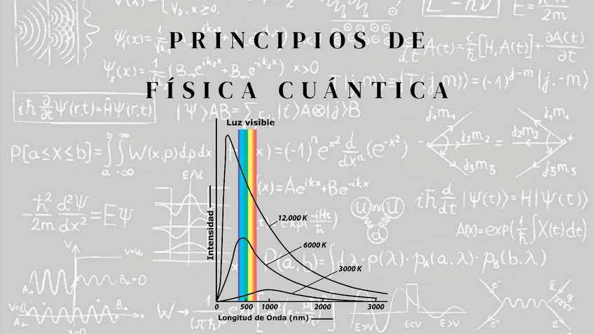 Miniatura del documento PRINCIPIOS-DE-FISICA-CUANTICA.pdf