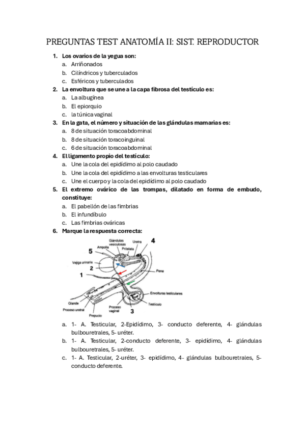 Miniatura del documento TODAS-PREGUNTAS-TEST-1o-parcial.pdf