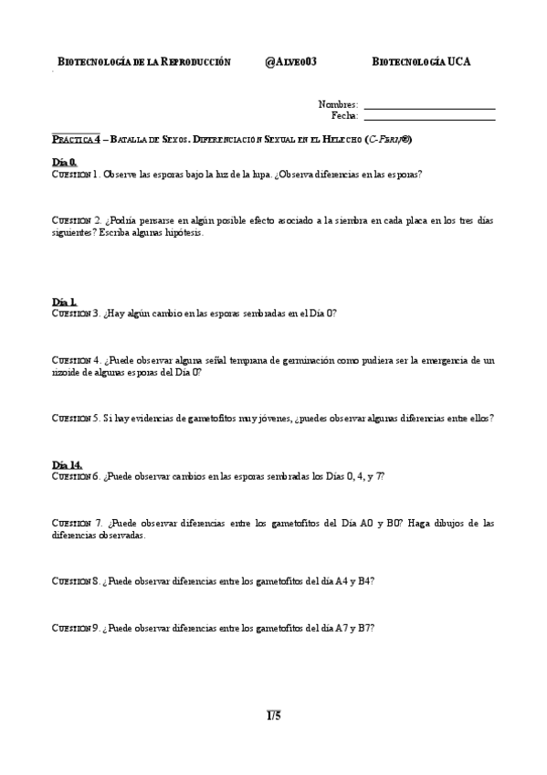 Miniatura del documento Practica-4-BREP.pdf