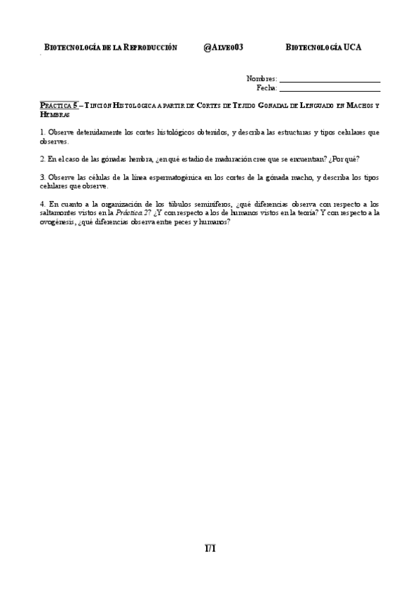 Miniatura del documento Practica-5-BREP.pdf