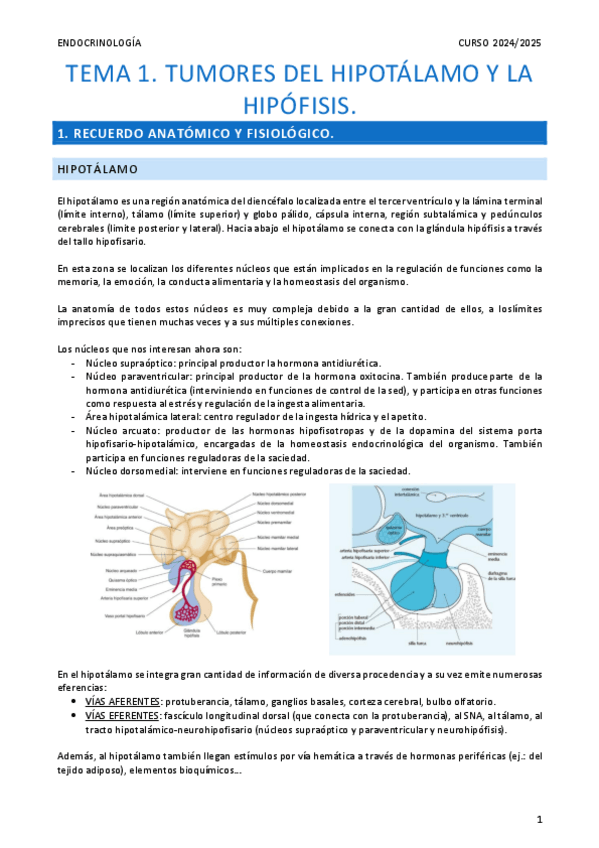 Miniatura del documento Resumen-Tema-1.-Tumores-hipotalamo-e-hipofisis.pdf