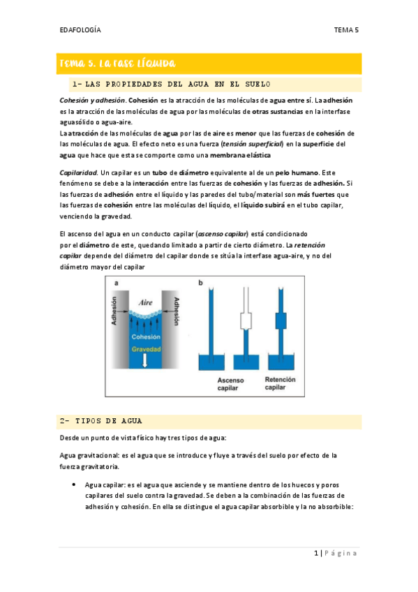 Miniatura del documento Tema-5.-La-fase-liquida.pdf