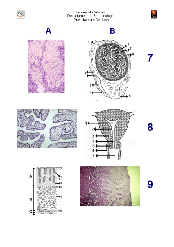 Miniatura del documento 21608972acfe2cd-83e2-4799-a593-d0c9ece0b288-201-251.pdf