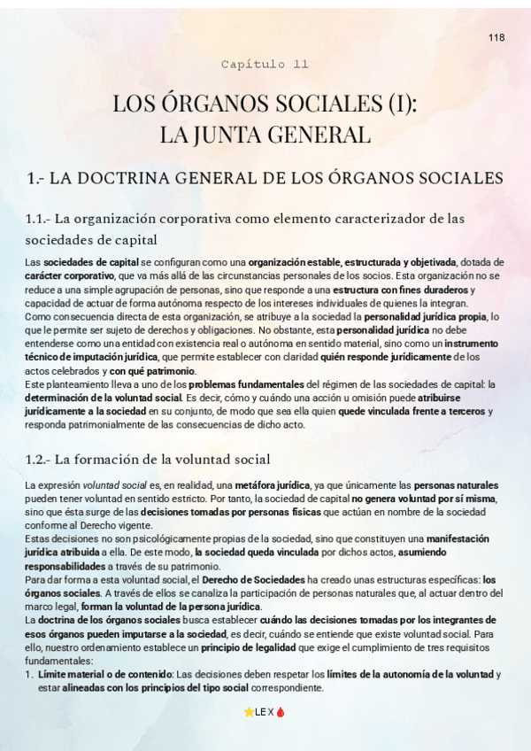 Miniatura del documento Capitulo-11-Lex.pdf