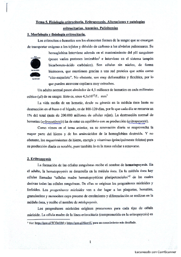 Miniatura del documento Tema-5-Hematologia.pdf