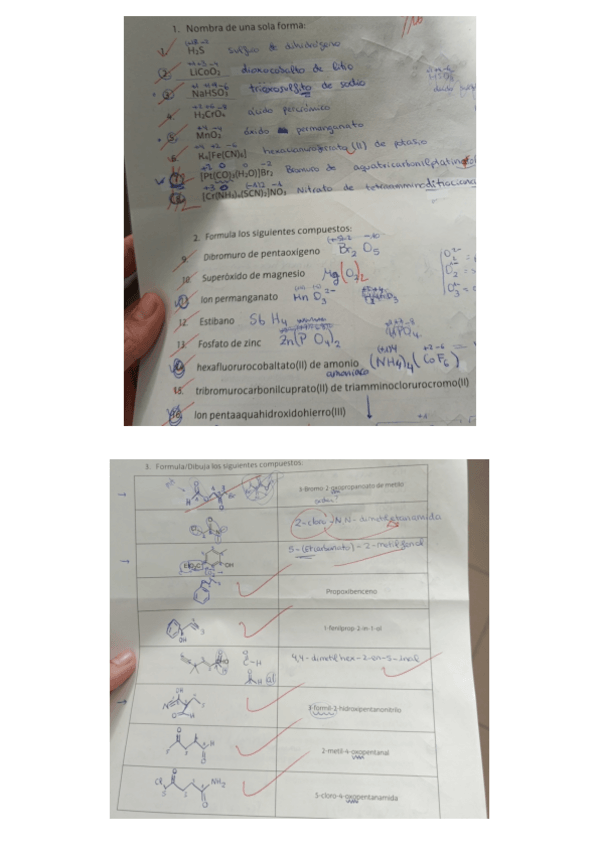 Miniatura del documento Formulacion-parcial-2024.pdf
