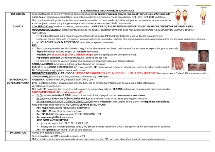 Miniatura del documento T12.-APUNTES-MIOPATIAS-INFLAMATORIAS-IDIOPATICAS.pdf