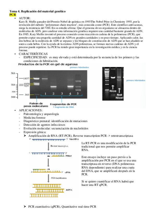 Miniatura del documento Tema-4.2-Aplicaciones-de-las-DNA-polimerasas-PCR.pdf