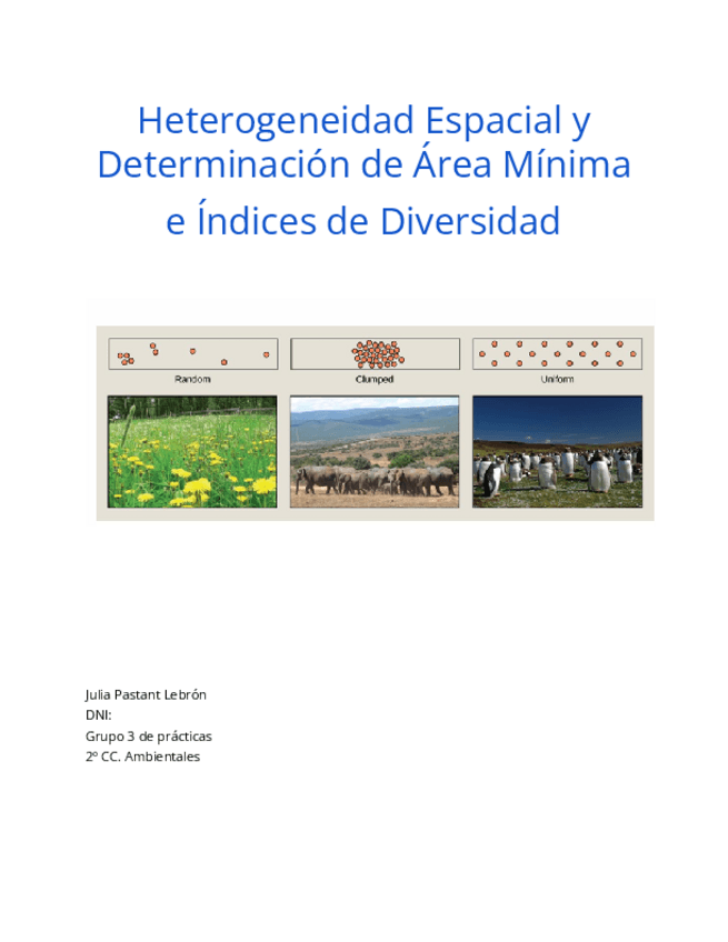 Miniatura del documento Heterogeneidad-espacial.pdf