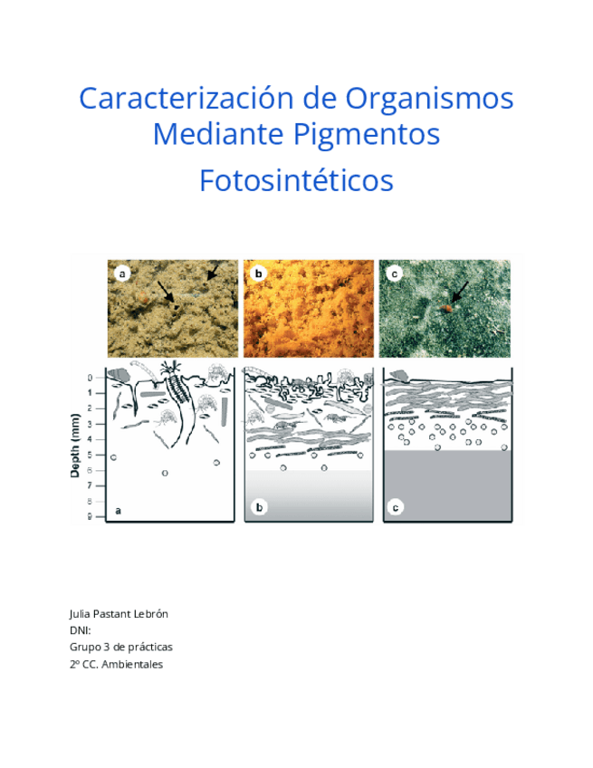 Miniatura del documento Extraccion-de-pigmentos.pdf