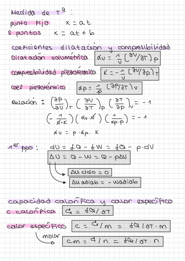 Miniatura del documento Resumen-Termo-Extraordinaria.pdf