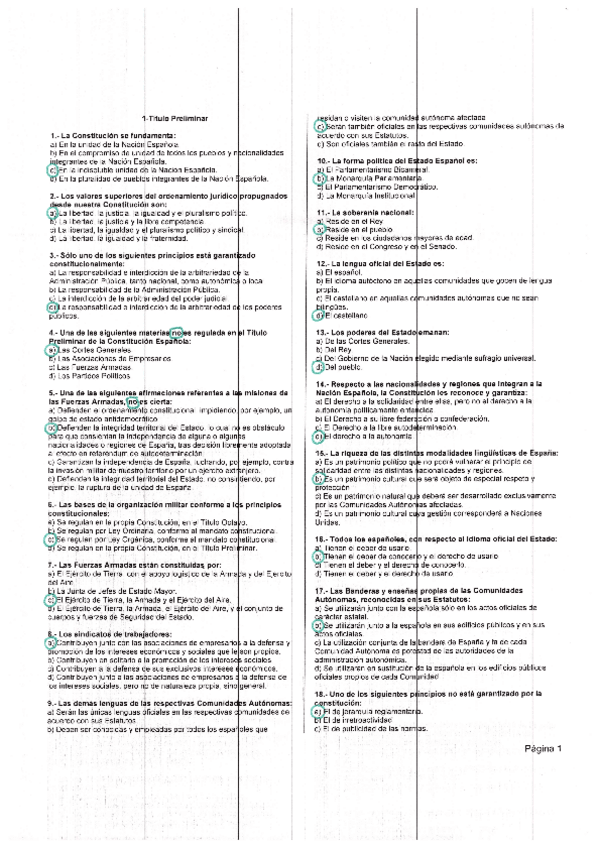 Miniatura del documento constitucion-1..pdf