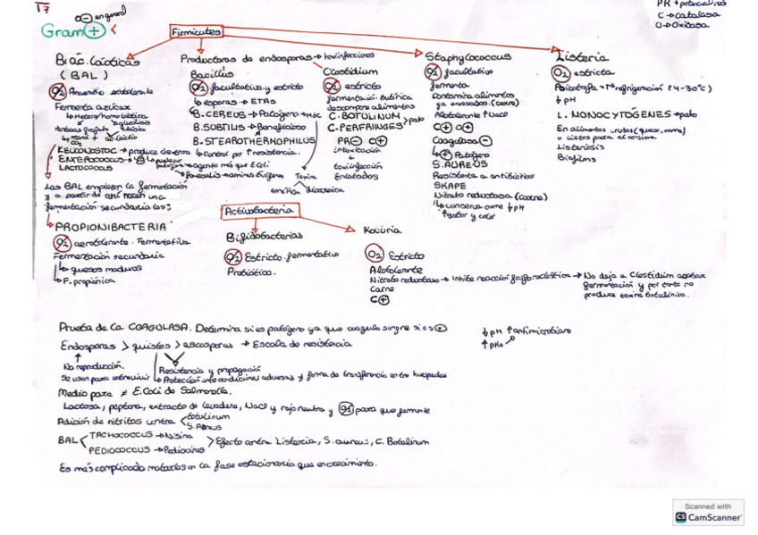 Miniatura del documento Tema-7-con-anotaciones-de-futuros-temas.pdf