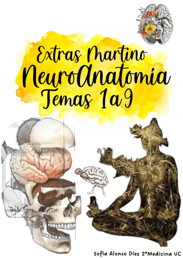 Miniatura del documento Extras-Neuroanato-temas-1-9-Martino.pdf
