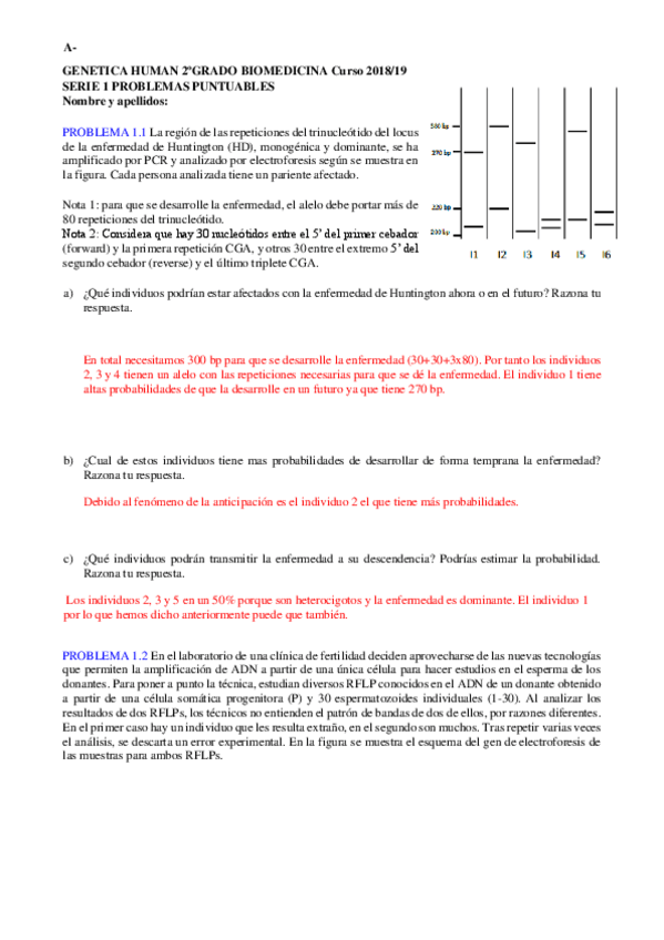 Miniatura del documento SERIE 1 18-19 RESUELTA.pdf
