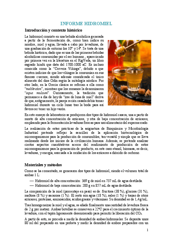 Miniatura del documento Informe hidromiel.pdf