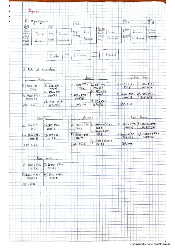Miniatura del documento Yogurina-S.A.pdf